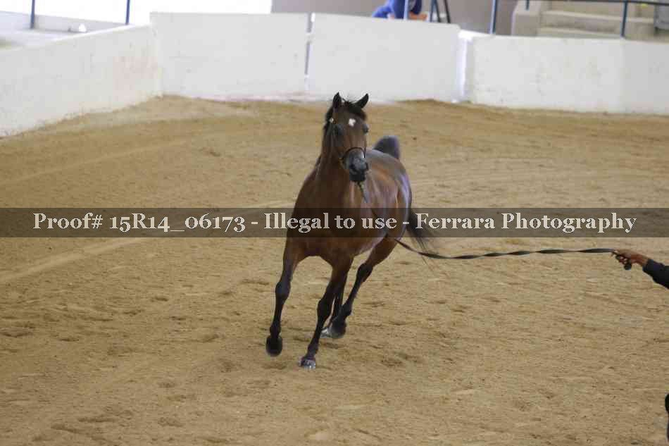 Proof Number 15R14_06173