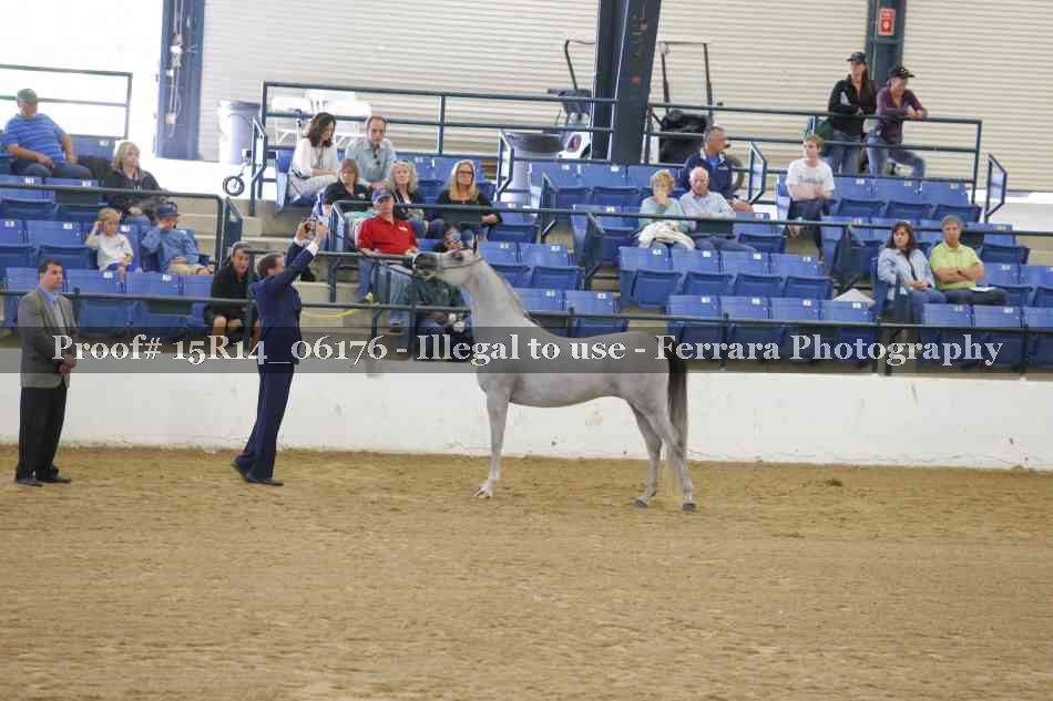Proof Number 15R14_06176