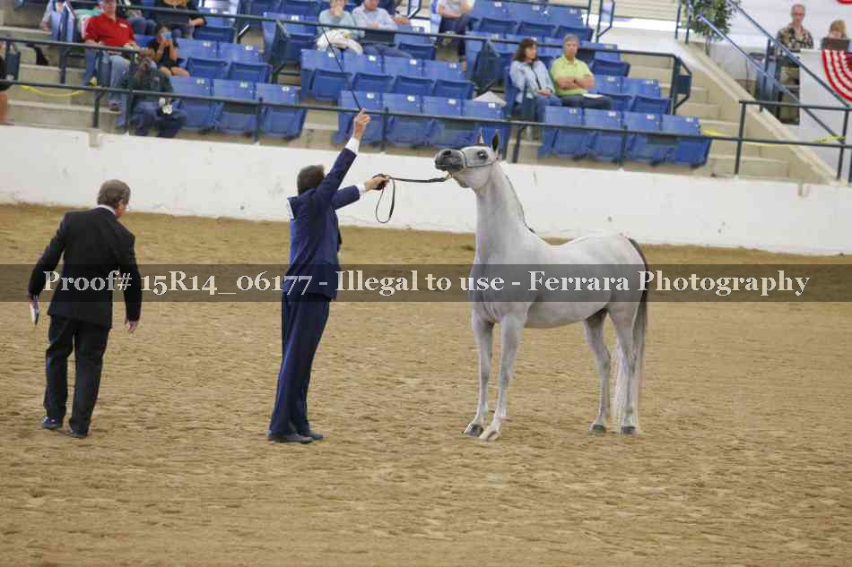 Proof Number 15R14_06177