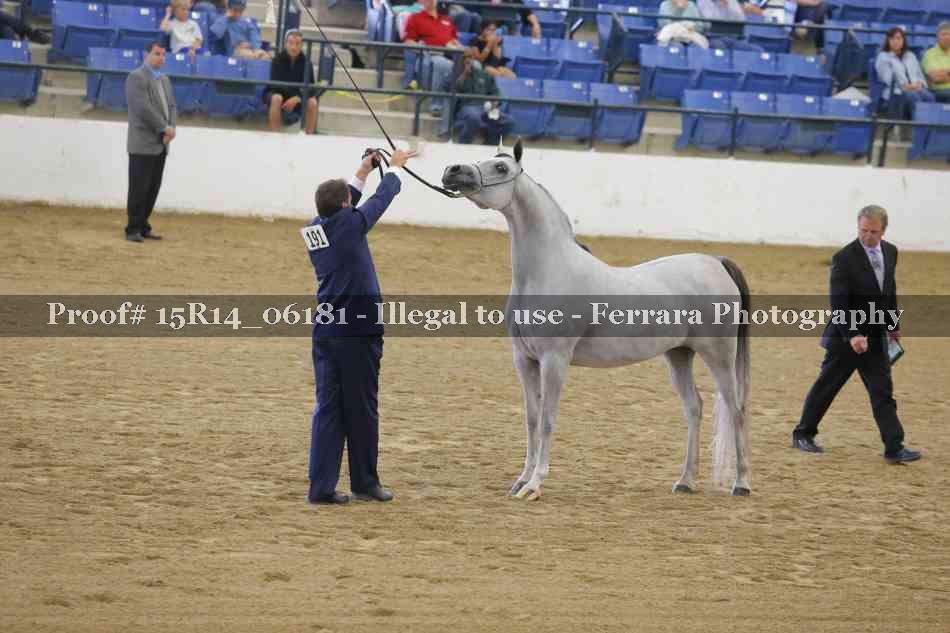 Proof Number 15R14_06181
