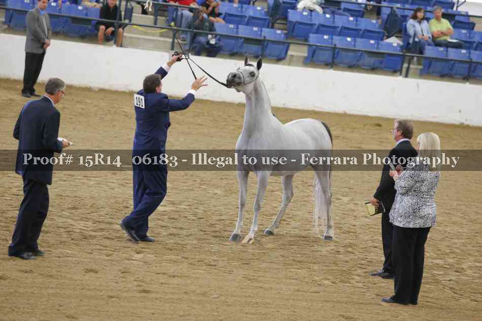 Proof Number 15R14_06183