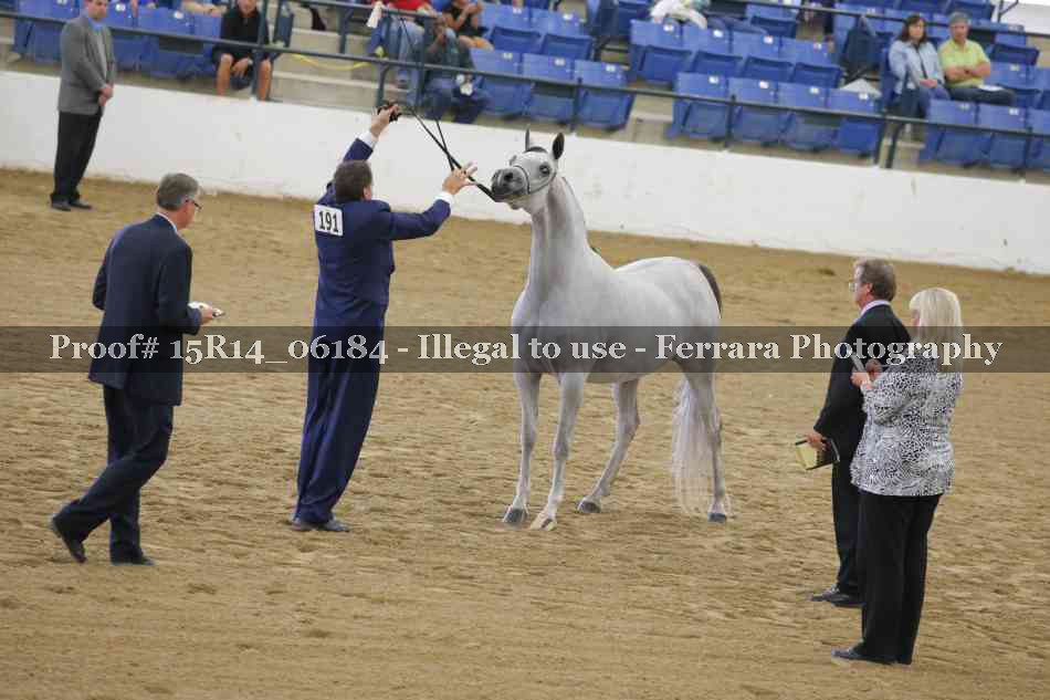 Proof Number 15R14_06184