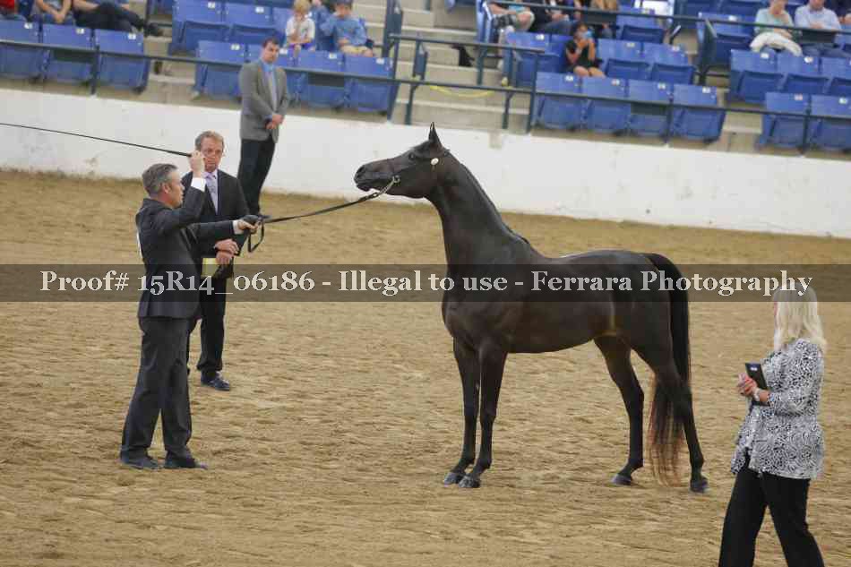 Proof Number 15R14_06186
