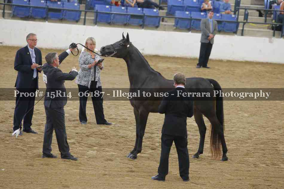 Proof Number 15R14_06187