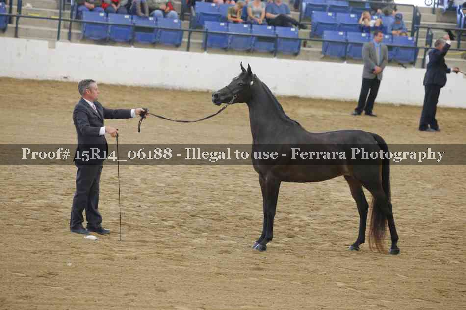 Proof Number 15R14_06188