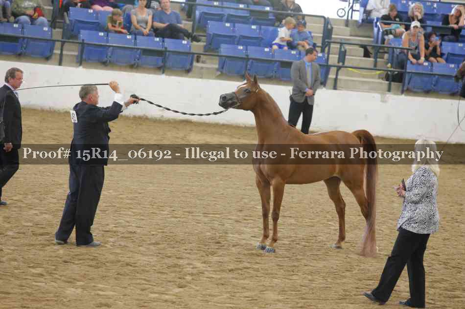 Proof Number 15R14_06192