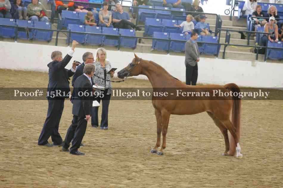 Proof Number 15R14_06195