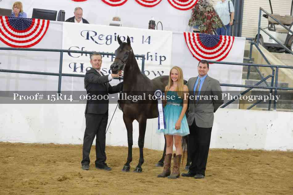Proof Number 15R14_06200