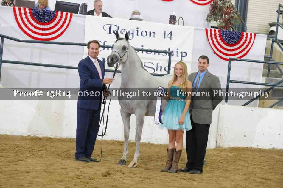 Proof Number 15R14_06201