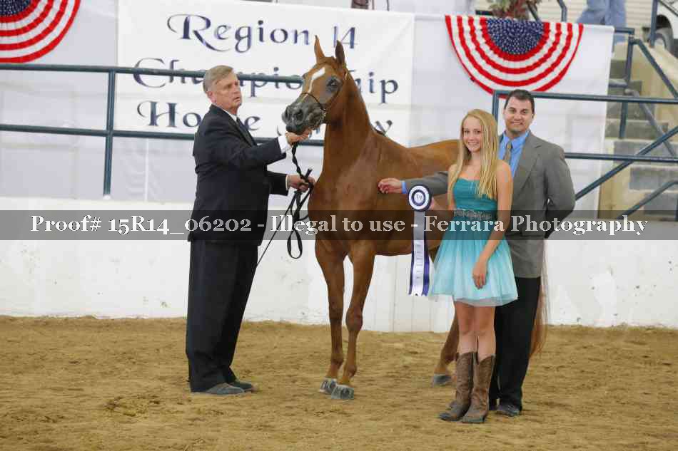 Proof Number 15R14_06202