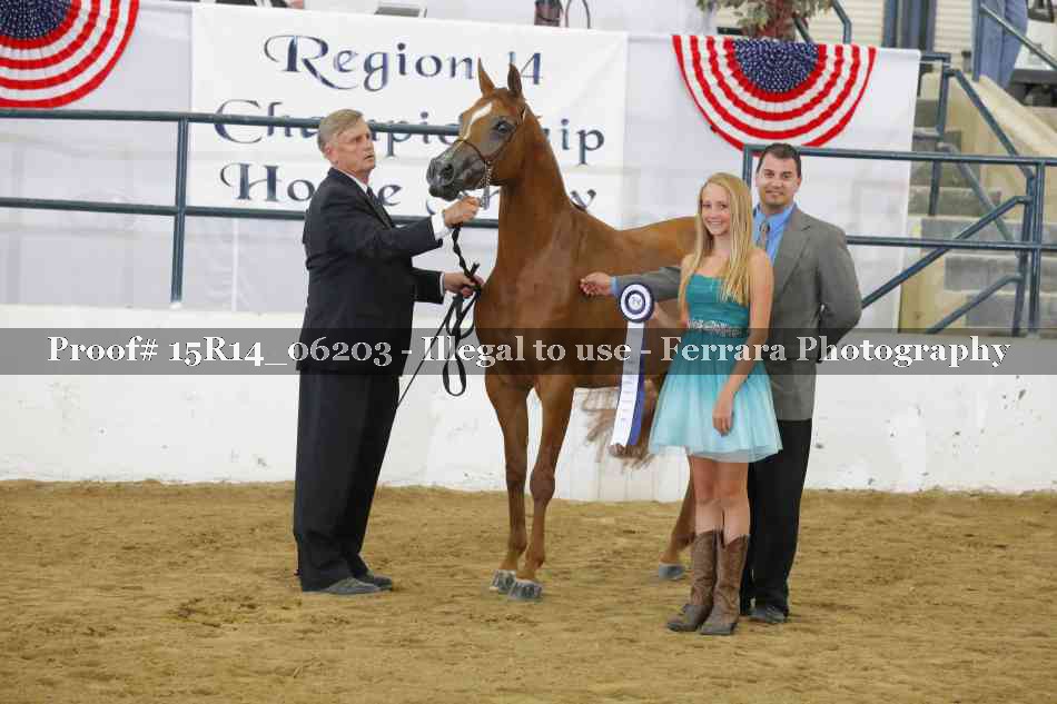Proof Number 15R14_06203