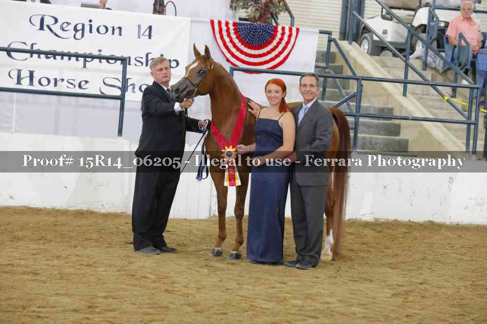 Proof Number 15R14_06205