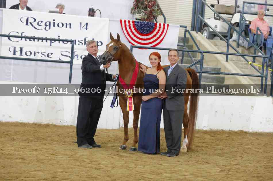 Proof Number 15R14_06206