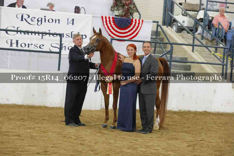 Proof Number 15R14_06207