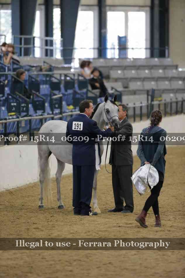 Proof Number 15R14_06209