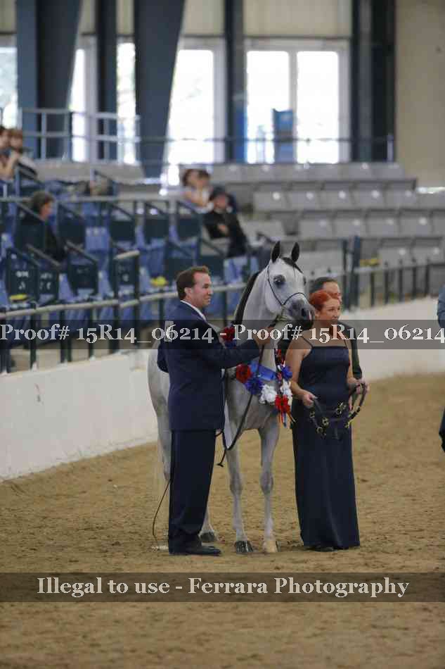 Proof Number 15R14_06214
