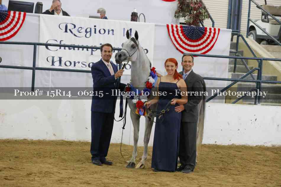 Proof Number 15R14_06215