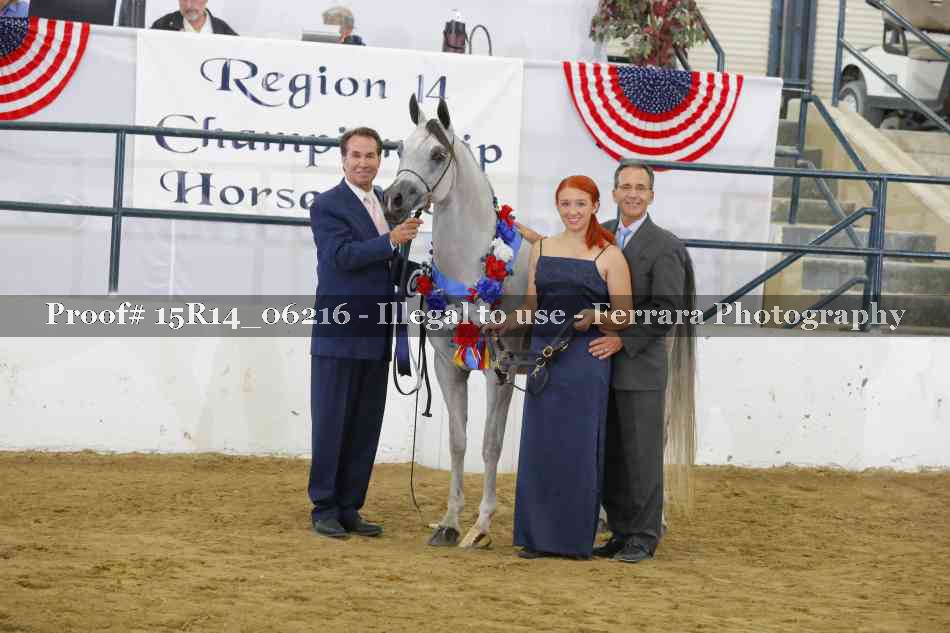 Proof Number 15R14_06216