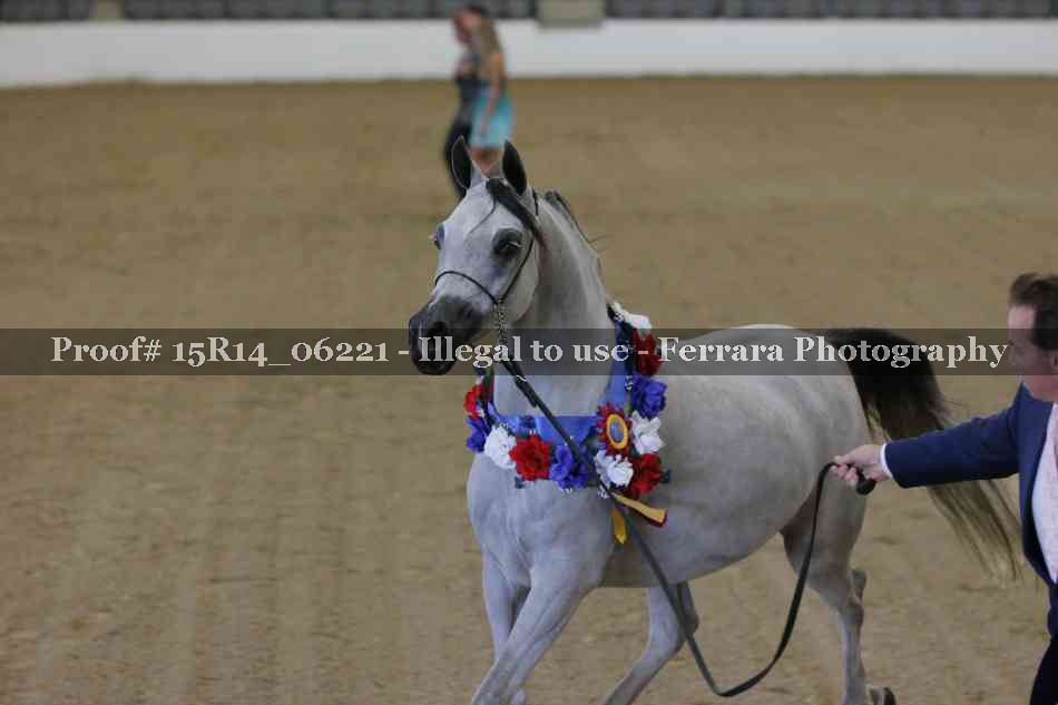 Proof Number 15R14_06221