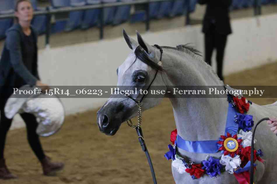 Proof Number 15R14_06223