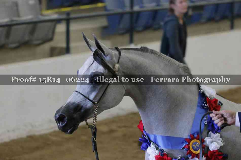 Proof Number 15R14_06224