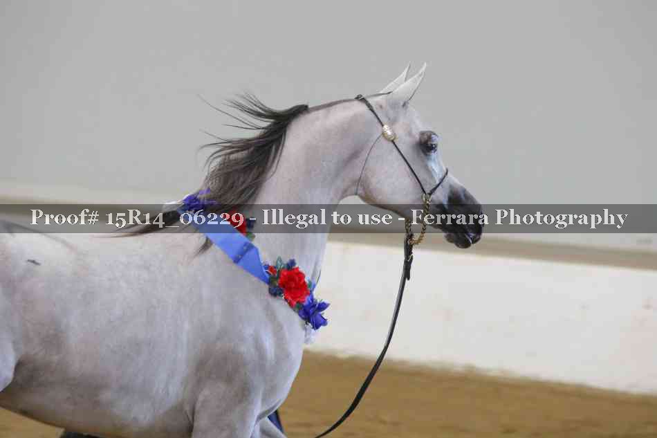 Proof Number 15R14_06229