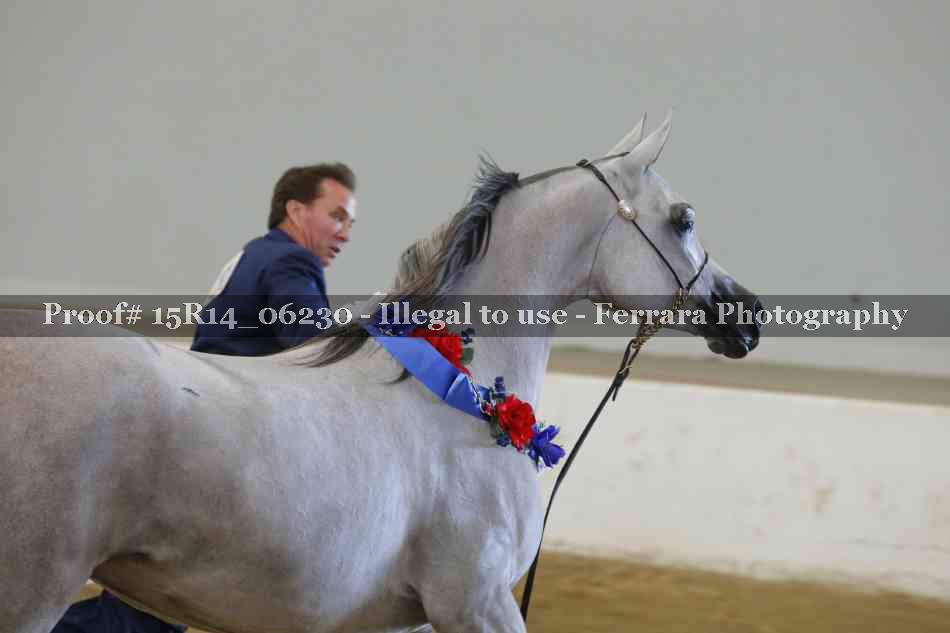 Proof Number 15R14_06230
