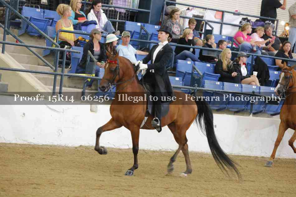 Proof Number 15R14_06256