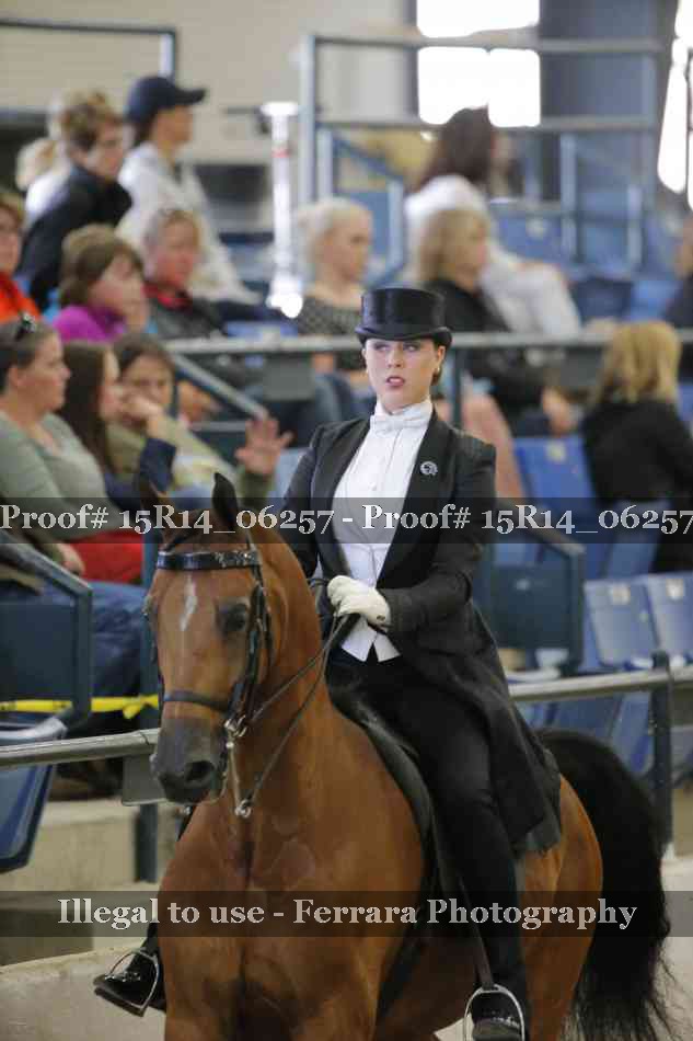 Proof Number 15R14_06257