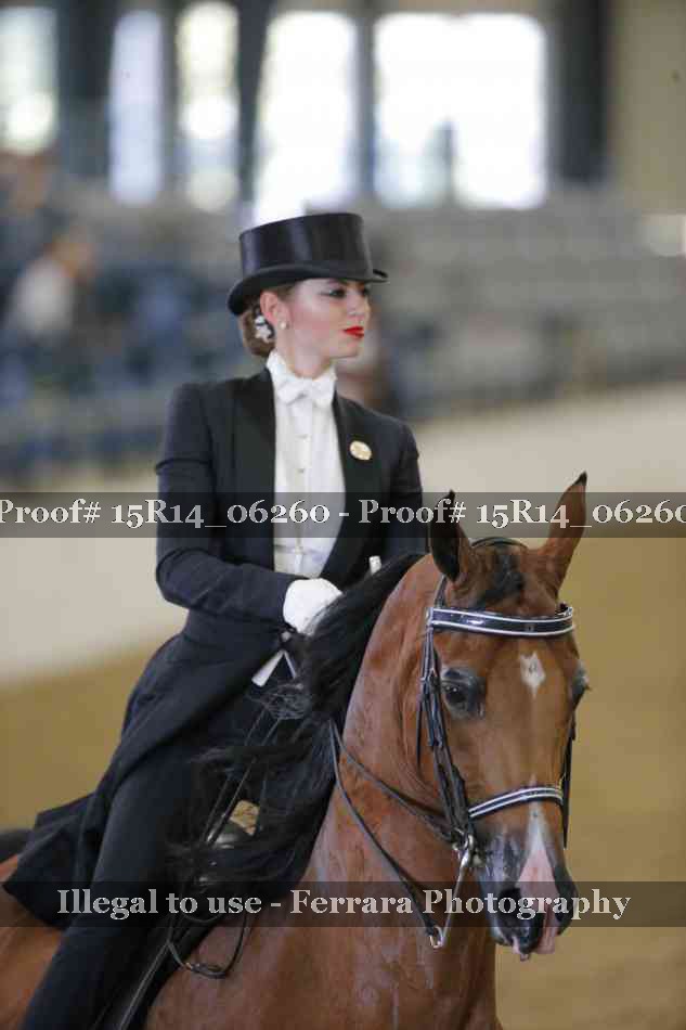 Proof Number 15R14_06260