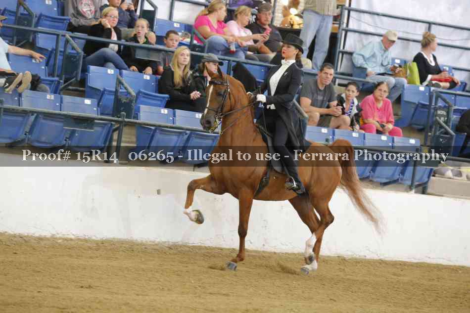 Proof Number 15R14_06265