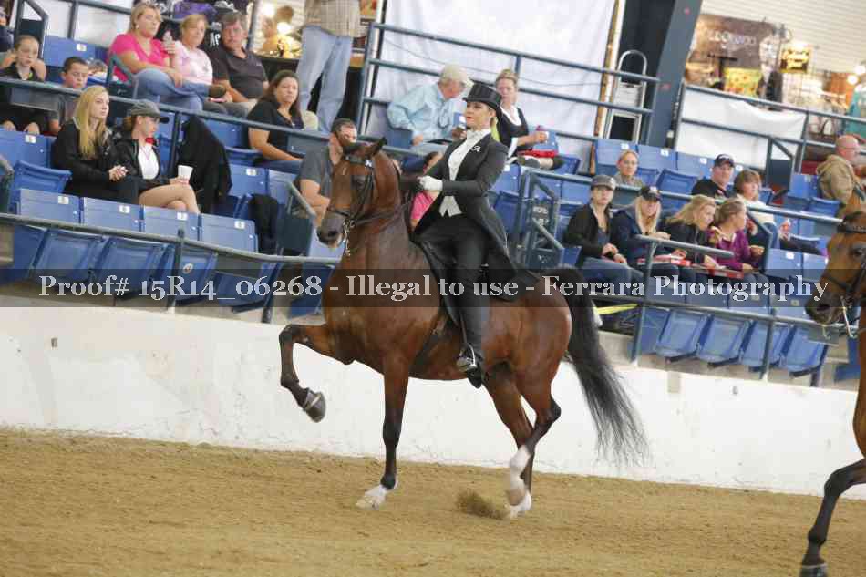 Proof Number 15R14_06268
