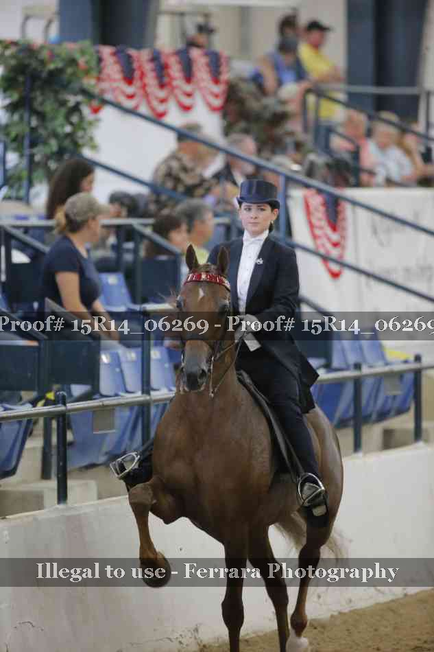 Proof Number 15R14_06269