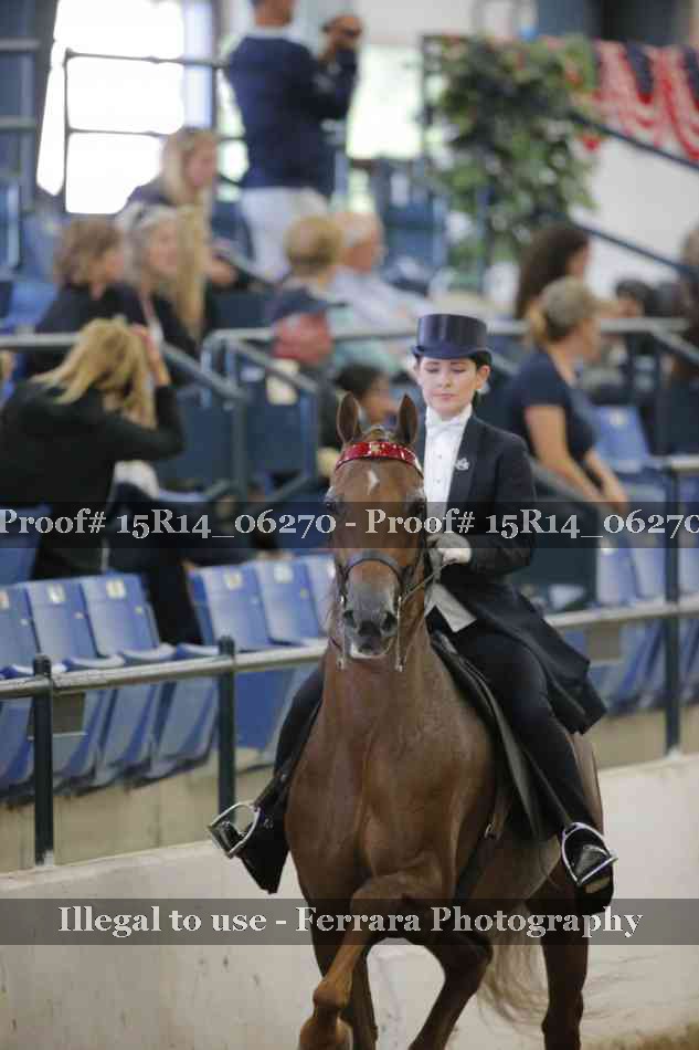 Proof Number 15R14_06270