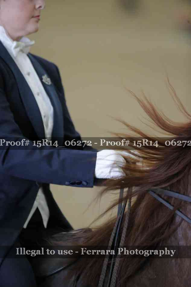 Proof Number 15R14_06272