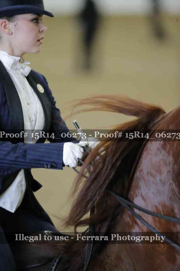 Proof Number 15R14_06273