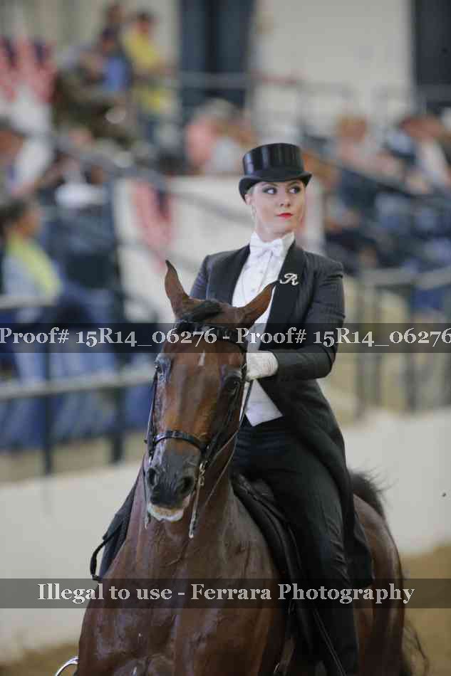 Proof Number 15R14_06276