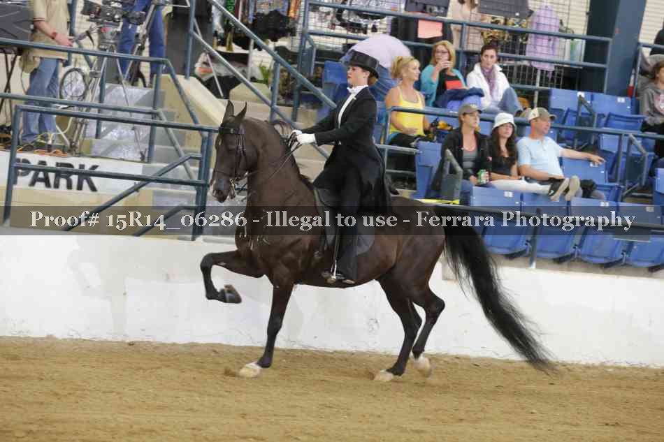 Proof Number 15R14_06286