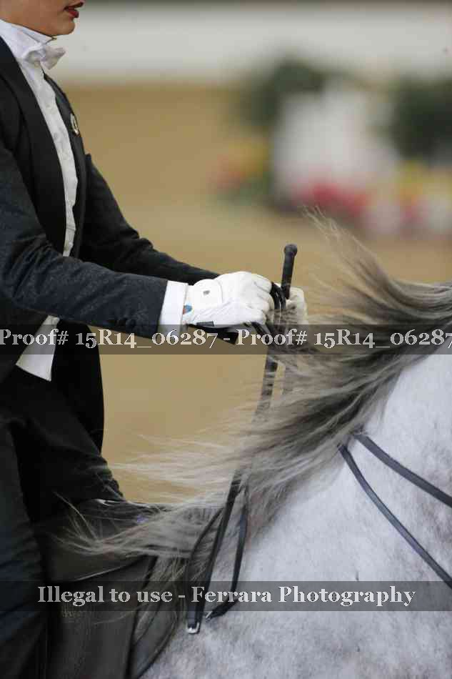 Proof Number 15R14_06287