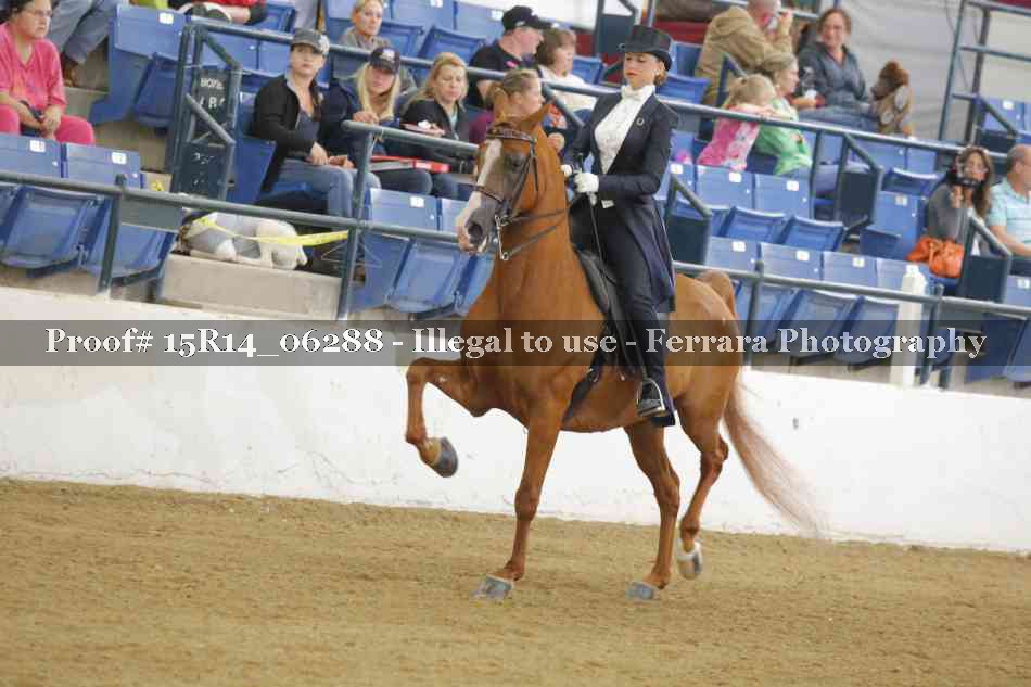 Proof Number 15R14_06288