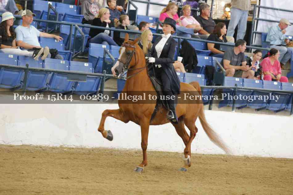 Proof Number 15R14_06289