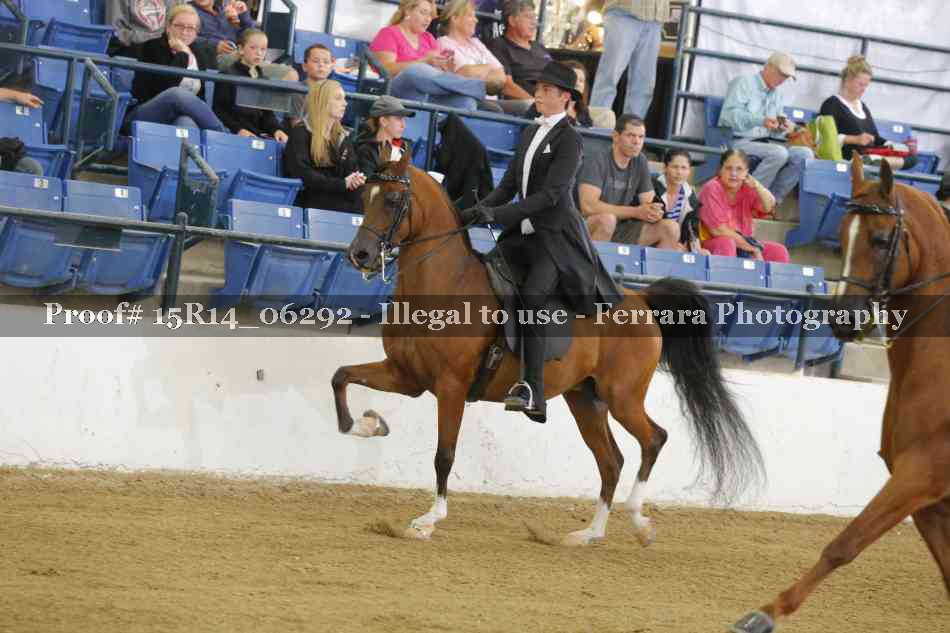Proof Number 15R14_06292