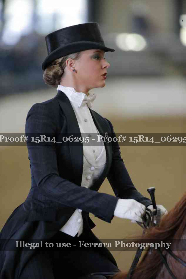 Proof Number 15R14_06295