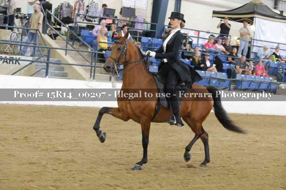 Proof Number 15R14_06297