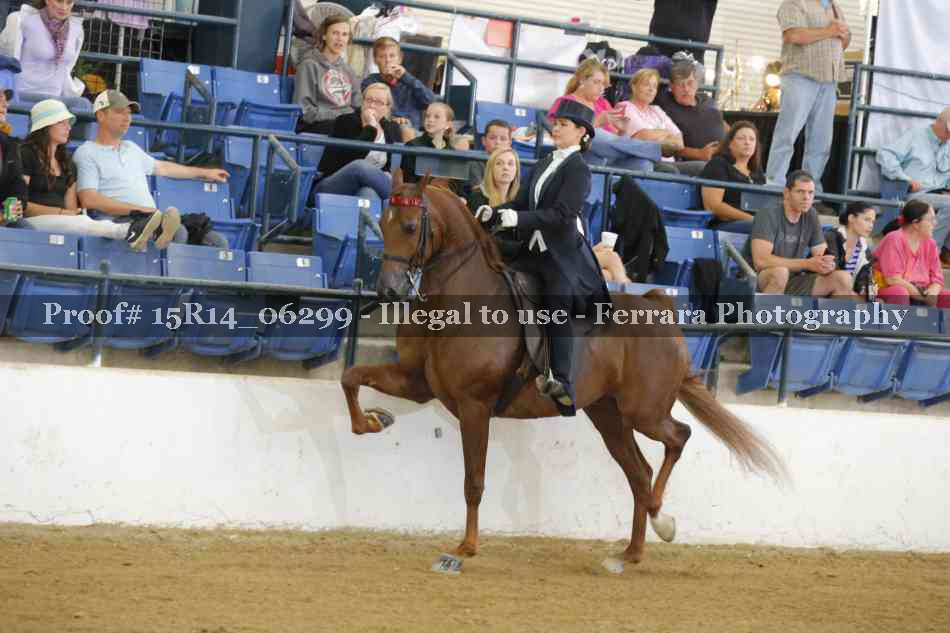 Proof Number 15R14_06299