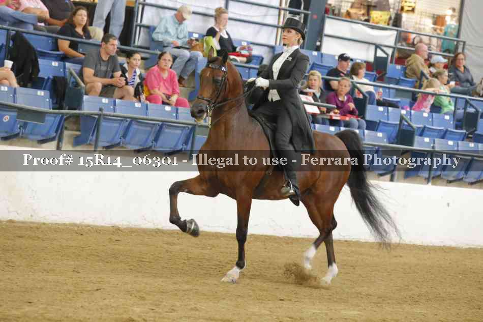 Proof Number 15R14_06301