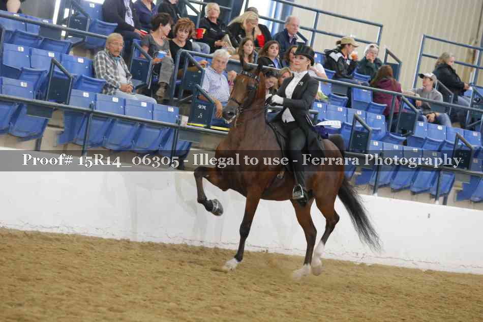 Proof Number 15R14_06305