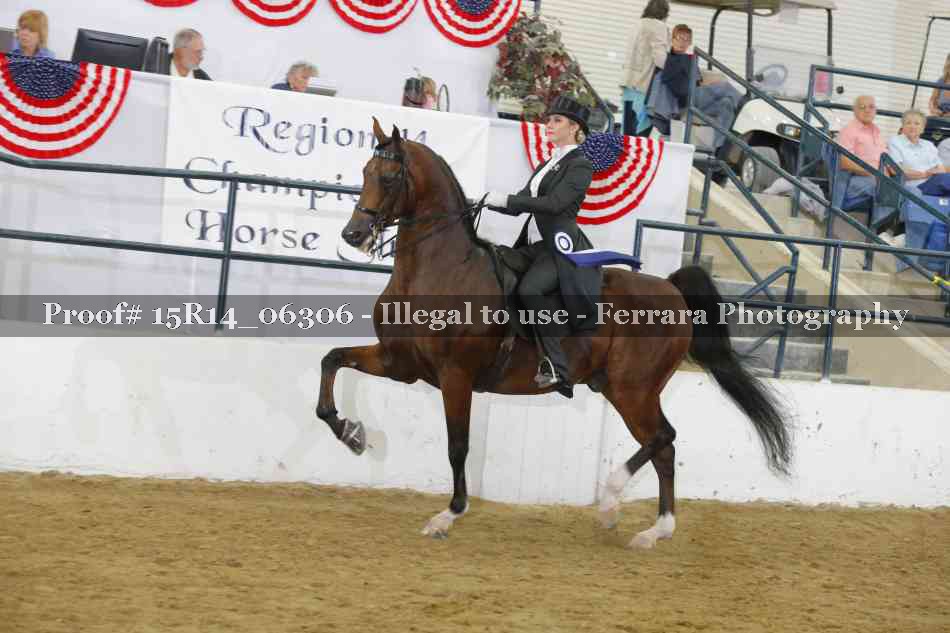 Proof Number 15R14_06306
