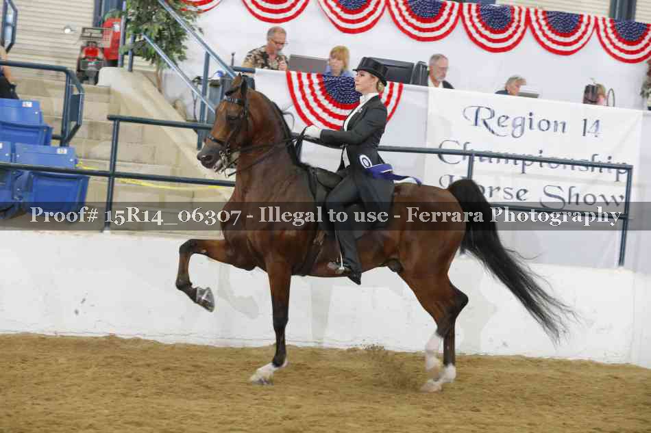 Proof Number 15R14_06307