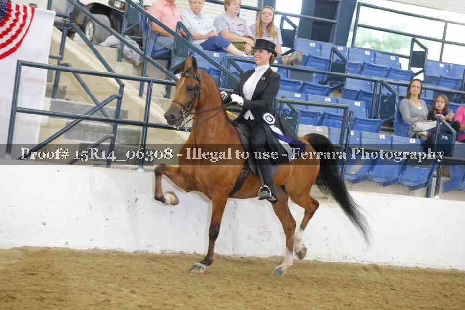 Proof Number 15R14_06308